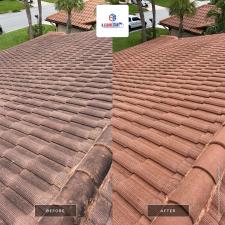 Palm City Roof Cleaning 1
