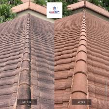 Palm City Roof Cleaning 0